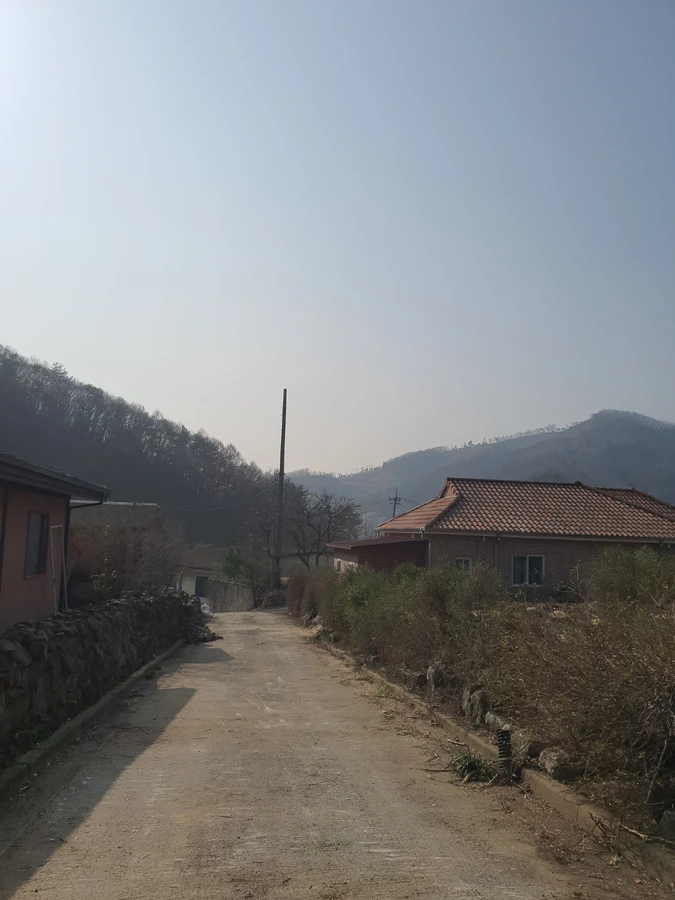 태풍피해목제거 작업 현장 - 보배종합건설