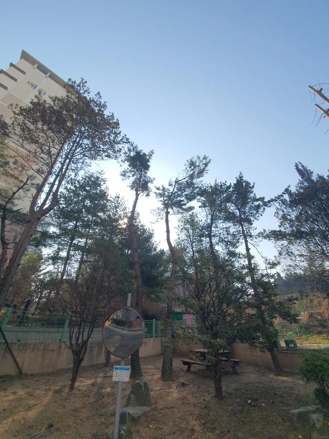 가지치기 작업 현장 - 보배종합건설