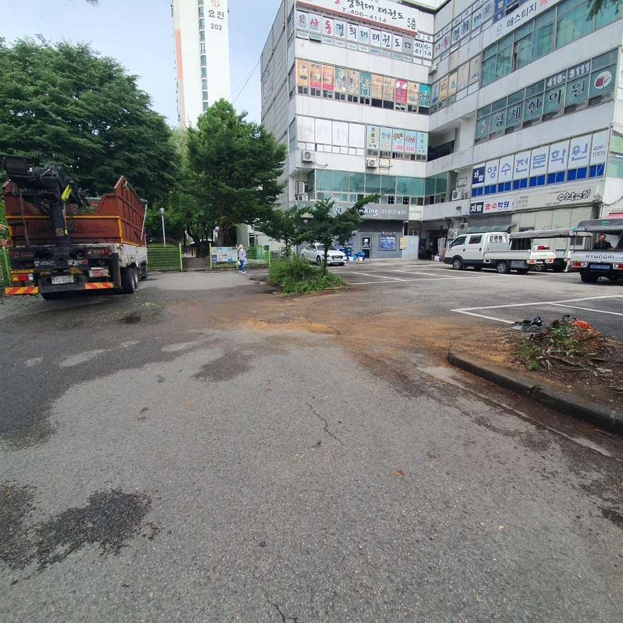 휘어진나무 작업 현장 8 - 작업 전